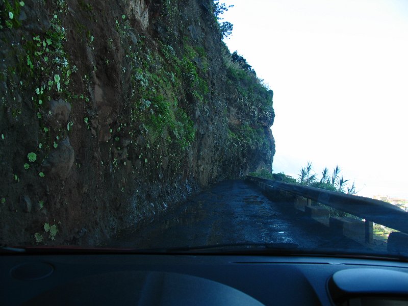 Madeira (162).jpg